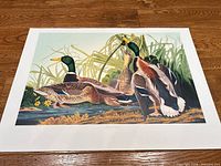 Full view of unframed Mallard Duck lithograph on wood floor