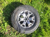 Tire and wheel full view lying on grass