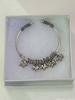 Bracelet in presentation box showing overall design and charms