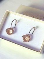 Earrings in box showing overall design and color