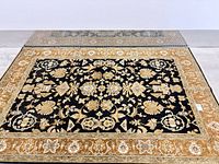 Full view of area rug showing pattern and border