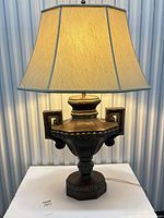 Full view lamp illuminated with shade
