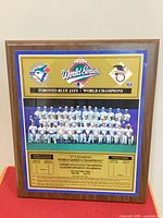 Full view of framed plaque showing team photo and logos