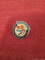 Front view of enameled lapel pin on red background
