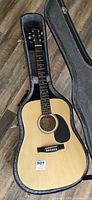 Full view of guitar in open hardshell case