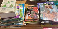 Two stacks of assorted children’s books showing covers such as Nightmare Room and Brother Bear