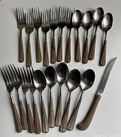 grouped flatware laid out to show types and handle condition
