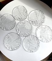 Top view of all seven clear textured plates arranged on table