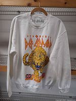 Front view of sweatshirt showing full graphic design