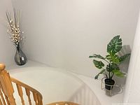 Overall view of both items: plant on stand, glass vase with stems