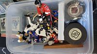 Overview of bin containing sports action figures, two pucks in bag, cards visible at edge