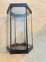 Full view of hexagonal terrarium showing glass panels and frame