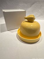 complete garlic keeper set with box