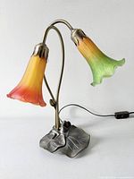 Full view of twin lily lamp showing both glass shades and metal base