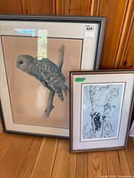 Both framed prints: owl by Lansdowne and woodpecker by Bateman