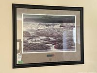 Full view of framed Robert Bateman print on wall