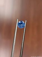 Round blue sapphire held in tweezers, showing facets and color