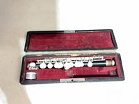 Piccolo body inside open red-lined case