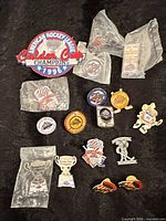 Group view of patch and multiple pins
