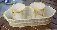 Tray with two planters inside showing color and design