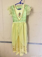 Front view of green and yellow Princess Tiana dress hanging on hanger