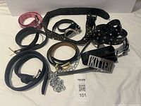 All belts spread out to show colours, buckles and embellishments including KITTEN buckle and chain