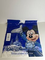 Full view of front side of plastic bag with Mickey Mouse and Walt Disney World graphics