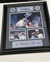 Full view of framed collage showing frame, matting and all printed elements