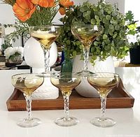 Front view of all five amber coupe martini glasses