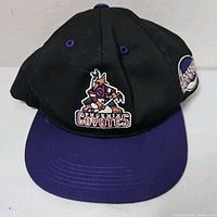 Front view of black and purple snapback cap with main Phoenix Coyotes Kachina logo