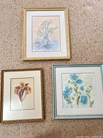 All three framed artworks front view
