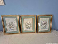 Front view of three framed floral prints side-by-side