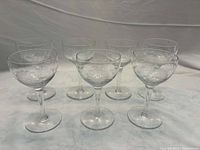 Seven Cornflower etched cocktail glasses arranged upright