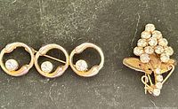 Front view of both brooches: geometric triple circle pin and floral cluster pin
