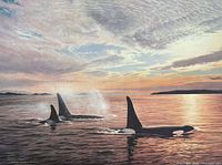 Front of lithograph showing three orcas in sunset seascape