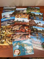 Fronts of all 12 Hawaiian postcards spread out