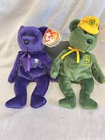 Both bears seated side by side showing overall appearance and tags.