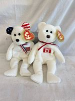 Both Ty bears upright showing front details, tags visible