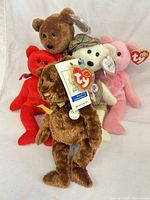 Group shot of all five Ty Beanie Baby bears