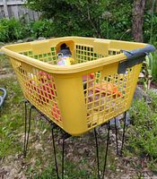 Basket on stand filled with feeders and traps