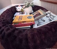 All lot items: pet bed holding ceramic planter with artificial flowers and stack of cat books
