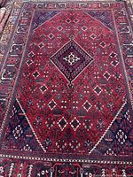 Full view of rug showing overall design and borders