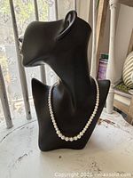 Full view of necklace on display bust