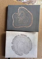 Front view of both canvases showing tree ring designs