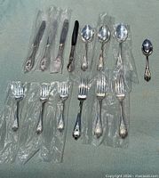 Group view of all 14 pieces laid out showing variety and packaging