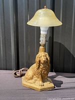 Full view of lamp showing dog base, socket, shade, and cord
