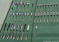 Full layout of flatware showing knives, spoons, forks, serving spoon, butter spreader