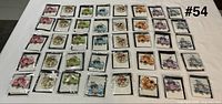 Top view showing all 40 packaged keychain clips arranged in rows