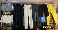 Eight garments hung for overall lot view