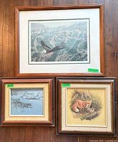 Group shot of three framed wildlife prints
